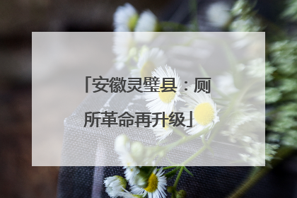 安徽灵璧县：厕所革命再升级