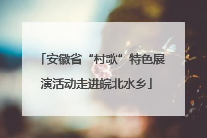 安徽省“村歌”特色展演活动走进皖北水乡