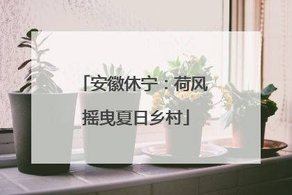 安徽休宁：荷风摇曳夏日乡村