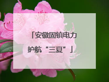 安徽固镇电力护航“三夏”