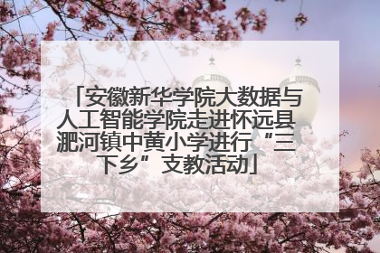 安徽新华学院大数据与人工智能学院走进怀远县淝河镇中黄小学进行“三下乡”支教活动