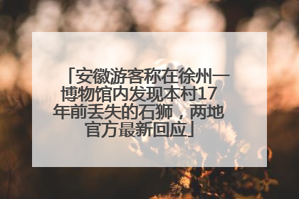 安徽游客称在徐州一博物馆内发现本村17年前丢失的石狮，两地官方最新回应