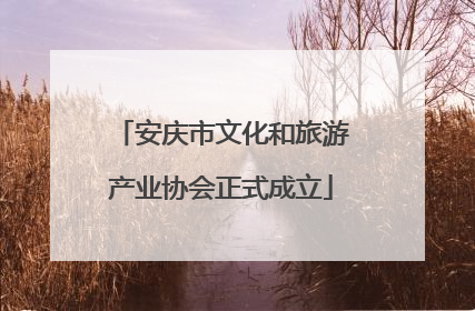 安庆市文化和旅游产业协会正式成立