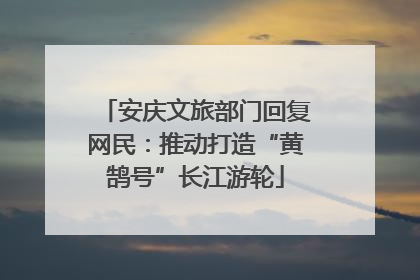 安庆文旅部门回复网民：推动打造“黄鹄号”长江游轮