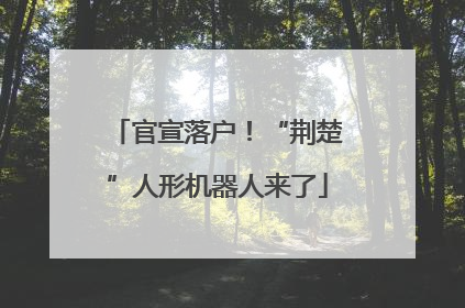 官宣落户！“荆楚”人形机器人来了