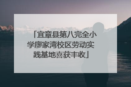 宜章县第八完全小学廖家湾校区劳动实践基地喜获丰收