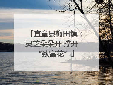 宜章县梅田镇：灵芝朵朵开 撑开“致富花”