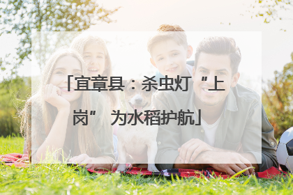 宜章县：杀虫灯“上岗” 为水稻护航