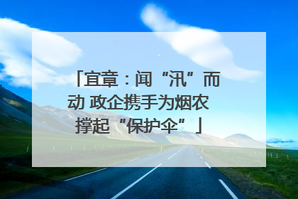 宜章：闻“汛”而动 政企携手为烟农撑起“保护伞”