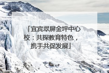 宜宾翠屏金坪中心校：共探教育特色，携手共促发展