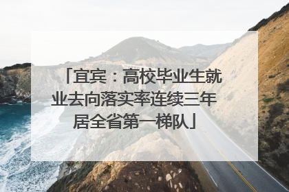 宜宾：高校毕业生就业去向落实率连续三年居全省第一梯队