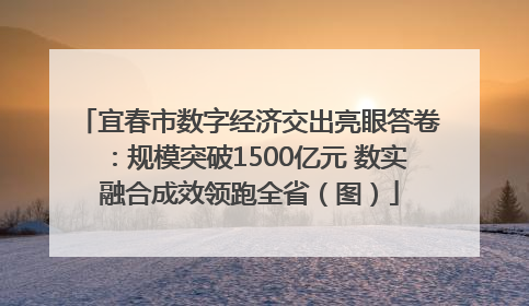 宜春市数字经济交出亮眼答卷：规模突破1500亿元 数实融合成效领跑全省（图）