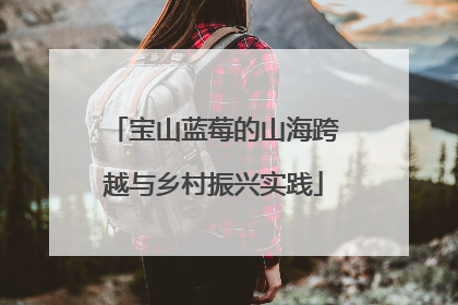 宝山蓝莓的山海跨越与乡村振兴实践