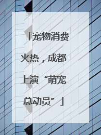 宠物消费火热，成都上演“萌宠总动员”