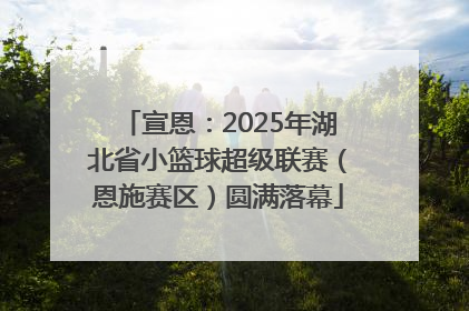 宣恩：2025年湖北省小篮球超级联赛（恩施赛区）圆满落幕