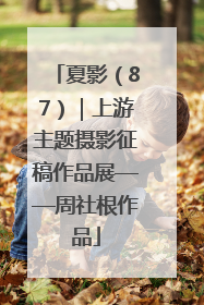 夏影（87）｜上游主题摄影征稿作品展——周社根作品