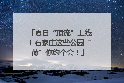 夏日“顶流”上线！石家庄这些公园“荷”你约个会！