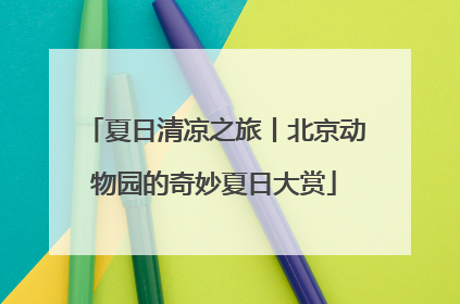 夏日清凉之旅丨北京动物园的奇妙夏日大赏