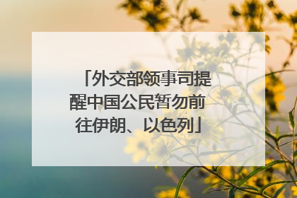 外交部领事司提醒中国公民暂勿前往伊朗、以色列