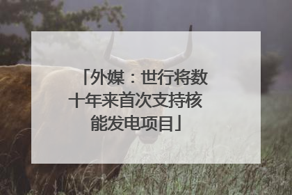 外媒：世行将数十年来首次支持核能发电项目