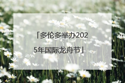 多伦多举办2025年国际龙舟节