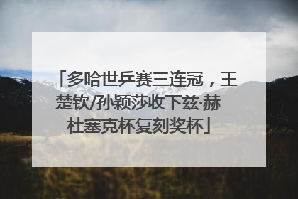 多哈世乒赛三连冠，王楚钦/孙颖莎收下兹·赫杜塞克杯复刻奖杯