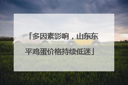多因素影响，山东东平鸡蛋价格持续低迷