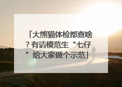 大熊猫体检都查啥？有请模范生“七仔”给大家做个示范