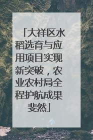 大祥区水稻选育与应用项目实现新突破，农业农村局全程护航成果斐然