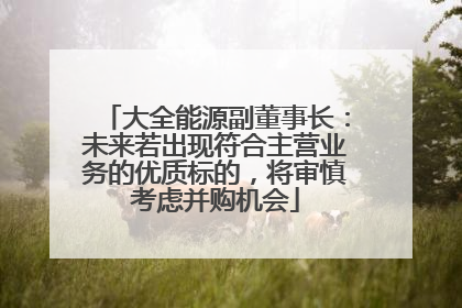 大全能源副董事长：未来若出现符合主营业务的优质标的，将审慎考虑并购机会