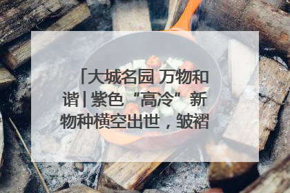大城名园 万物和谐│紫色“高冷”新物种横空出世，皱褶叶片暗藏进化密码