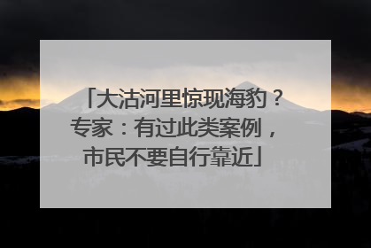 大沽河里惊现海豹？专家：有过此类案例，市民不要自行靠近