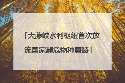 大藤峡水利枢纽首次放流国家濒危物种唇鲮