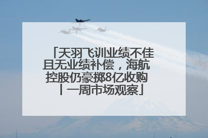 天羽飞训业绩不佳且无业绩补偿，海航控股仍豪掷8亿收购丨一周市场观察