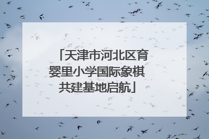 天津市河北区育婴里小学国际象棋共建基地启航