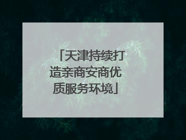 天津持续打造亲商安商优质服务环境