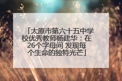 太原市第六十五中学校优秀教师杨建华：在26个字母间 发现每个生命的独特光芒