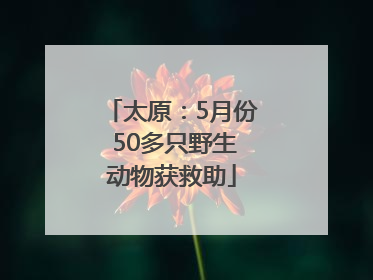 太原：5月份 50多只野生动物获救助