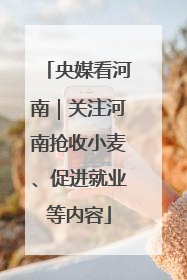 央媒看河南｜关注河南抢收小麦、促进就业等内容