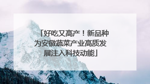 好吃又高产！新品种为安徽蔬菜产业高质发展注入科技动能