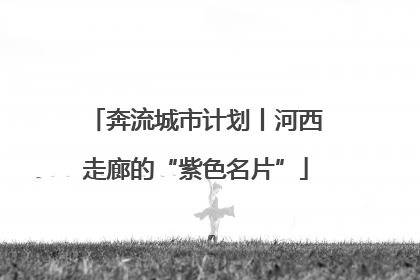 奔流城市计划丨河西走廊的“紫色名片”