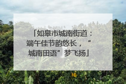 如皋市城南街道：端午佳节韵悠长，“城南田语”梦飞扬