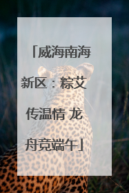 威海南海新区：粽艾传温情 龙舟竞端午