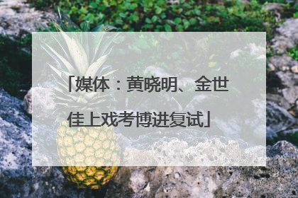 媒体：黄晓明、金世佳上戏考博进复试