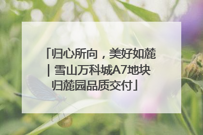 归心所向，美好如麓｜雪山万科城A7地块归麓园品质交付