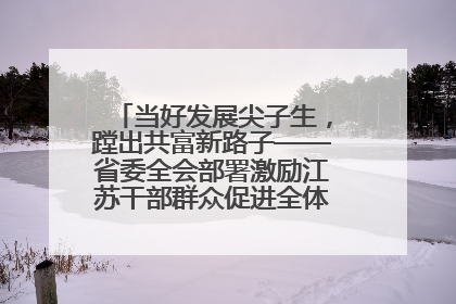 当好发展尖子生，蹚出共富新路子——省委全会部署激励江苏干部群众促进全体人民共同富裕
