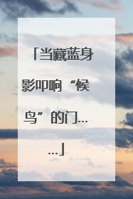 当藏蓝身影叩响“候鸟”的门……