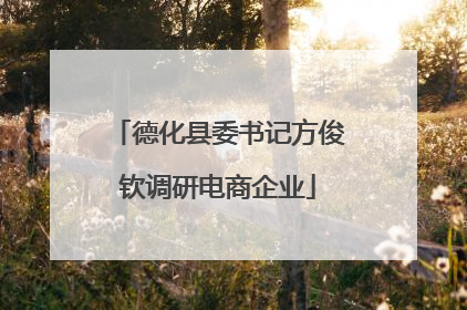 德化县委书记方俊钦调研电商企业