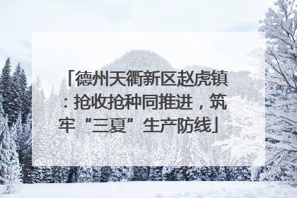 德州天衢新区赵虎镇：抢收抢种同推进，筑牢“三夏”生产防线