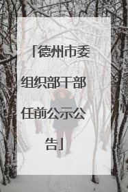 德州市委组织部干部任前公示公告